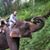 David Shank's profile image