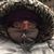 Melissa Renaud's profile image