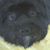 Friederike DeWolf's profile image
