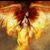 Star Rodriguez's profile image