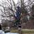 David Naeger's profile image