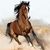 Rosemary Duellman's profile image