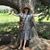 LeAnn Moore's profile image