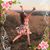 Michelle Zentmyer Moss's profile image