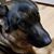 Mary Shimko Washney's profile image