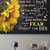Brenda Nieschwitz-Hedrick's profile image