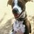Stephanie Sigler's profile image