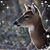 Vickie Meekins Gray's profile image