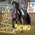 Jennifer Dipple Flowers's profile image