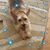 Terri Hitchings's profile image