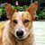 Lorrie Bergeron's profile image