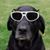 Gary Groeller's profile image