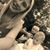 Rebecca Lynn Hurlocker's profile image