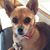Kathy Allan Mitchell's profile image