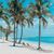Cindy Sharrow's profile image