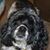 Ken Jermyn's profile image