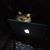 Laura Roehr Burns's profile image