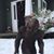 Steve Egner's profile image