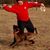Jimbo Canfield's profile image