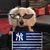 Christina Castaldo Toscano's profile image