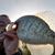 Rob Vann's profile image