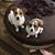 Valerie Bridges's profile image