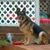 Anita Bigley's profile image