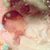 Tricia J Catron's profile image