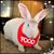 C Jack Mizelle's profile image