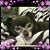Bill Morton's profile image