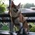 Kristen Kilts Foster's profile image