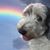 Cherie Ruffo's profile image