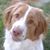 Kim Moore's profile image