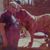 Harold Lovett's profile image