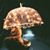 Dot DeCaro's profile image
