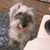 Angi Vassar's profile image