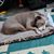 Kerry Lynn Moody's profile image
