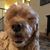 Dawn Turek's profile image