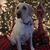 Natalie Cisowski Thompson's profile image