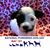 Georgene Reekie's profile image