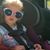 Robert Sullivan's profile image