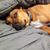 Christopher Luczak's profile image