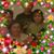 Maria C Flores's profile image