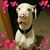 Daniel Spillers's profile image