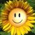 Lu Anne's profile image