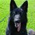 Coral Artidello's profile image