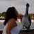 Lorrie Stahl's profile image