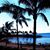 JoAnn Barbour's profile image