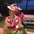 Bonnie Nielsen Shafto's profile image