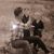 Dotty Erickson's profile image